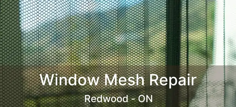  Window Mesh Repair Redwood - ON