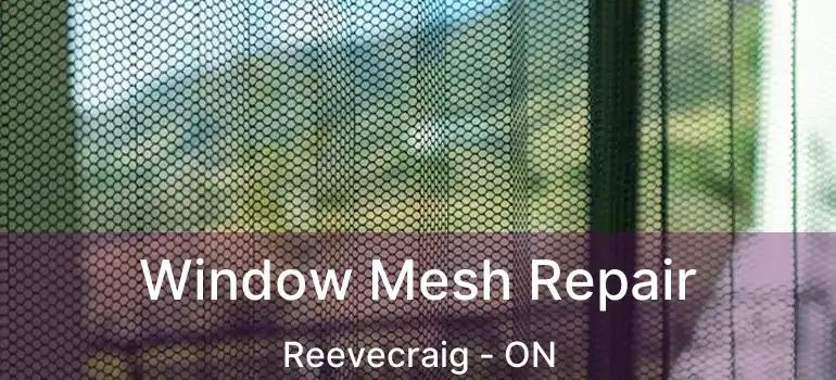  Window Mesh Repair Reevecraig - ON