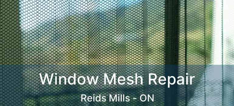  Window Mesh Repair Reids Mills - ON