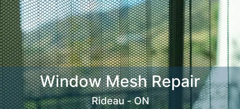  Window Mesh Repair Rideau - ON