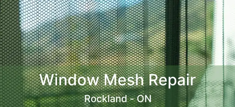  Window Mesh Repair Rockland - ON