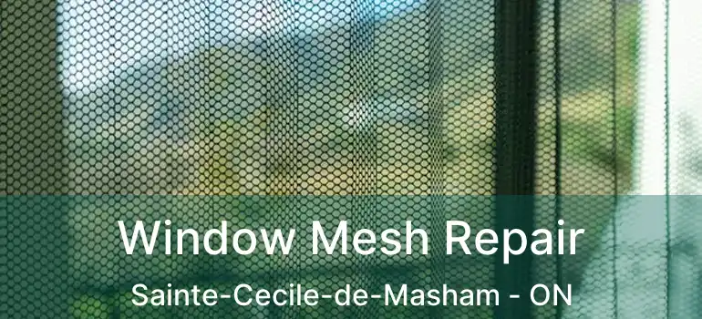  Window Mesh Repair Sainte-Cecile-de-Masham - ON