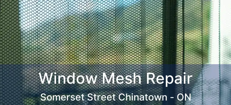  Window Mesh Repair Somerset Street Chinatown - ON