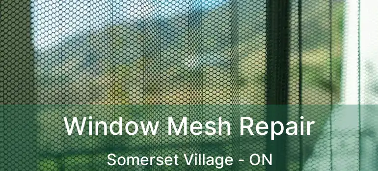  Window Mesh Repair Somerset Village - ON