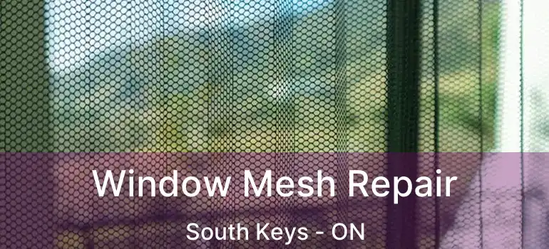  Window Mesh Repair South Keys - ON