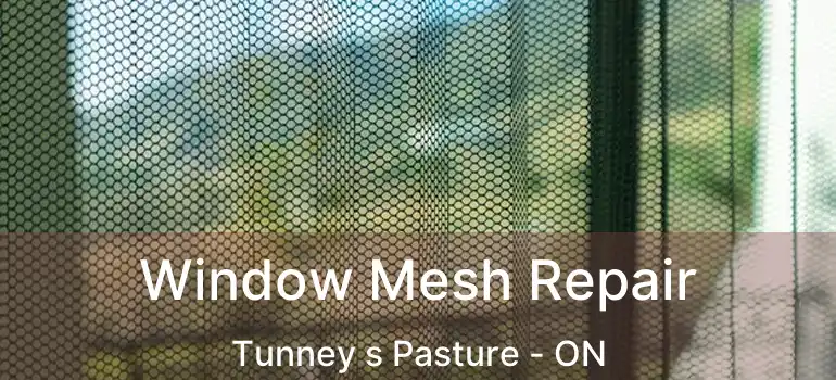  Window Mesh Repair Tunney s Pasture - ON