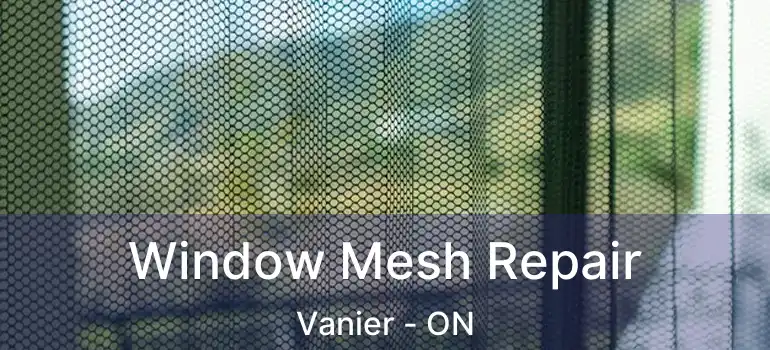  Window Mesh Repair Vanier - ON