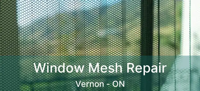  Window Mesh Repair Vernon - ON