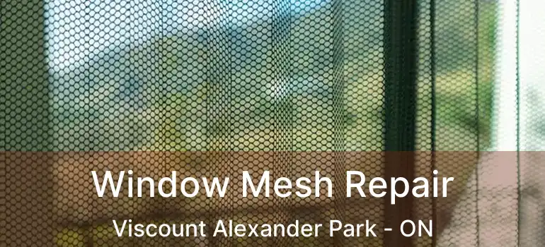  Window Mesh Repair Viscount Alexander Park - ON