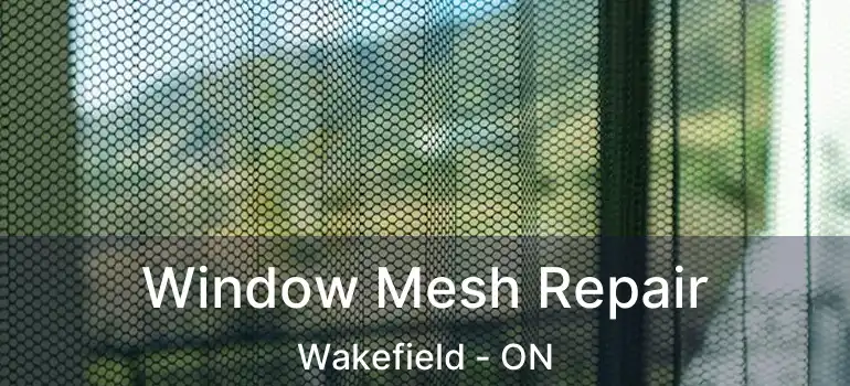  Window Mesh Repair Wakefield - ON