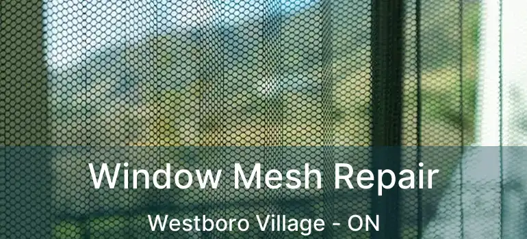  Window Mesh Repair Westboro Village - ON