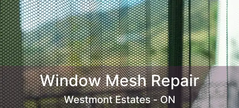  Window Mesh Repair Westmont Estates - ON