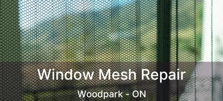  Window Mesh Repair Woodpark - ON