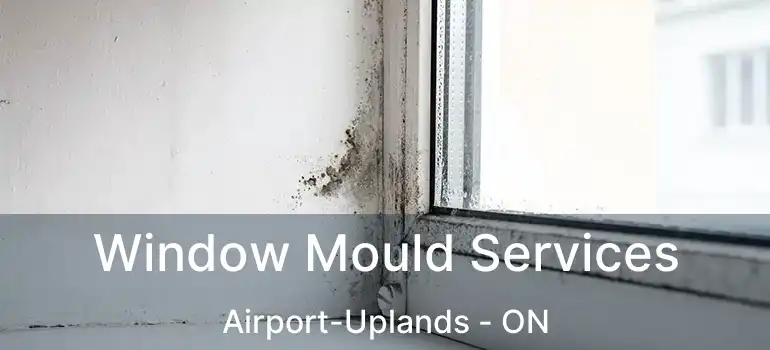  Window Mould Services Airport-Uplands - ON