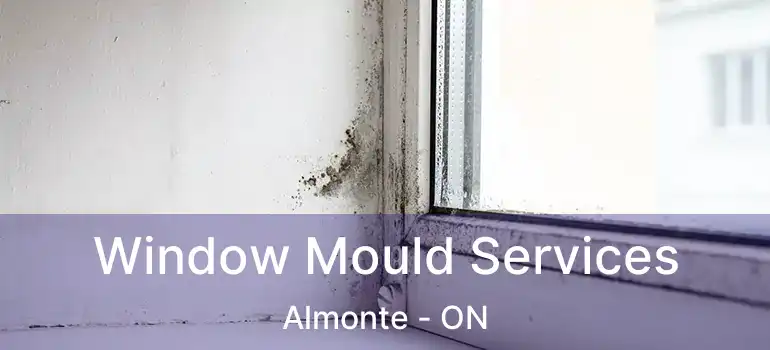  Window Mould Services Almonte - ON