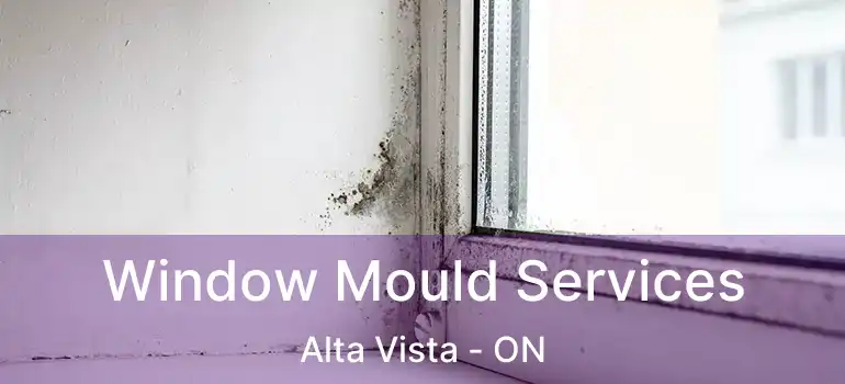  Window Mould Services Alta Vista - ON