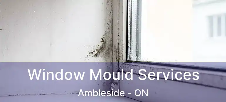  Window Mould Services Ambleside - ON