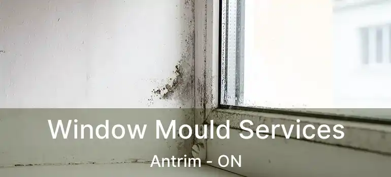  Window Mould Services Antrim - ON