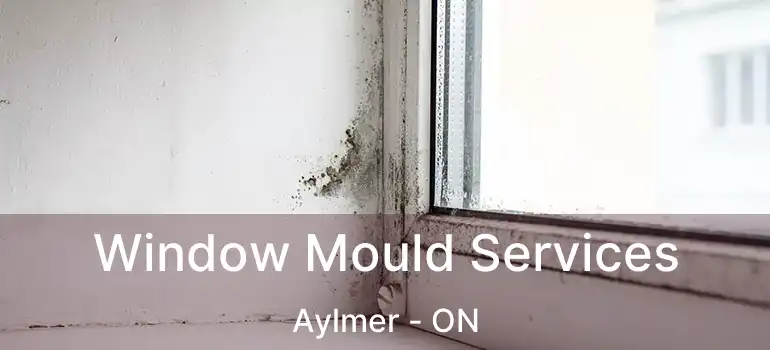  Window Mould Services Aylmer - ON