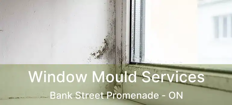  Window Mould Services Bank Street Promenade - ON