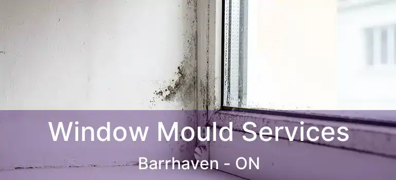  Window Mould Services Barrhaven - ON