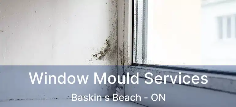  Window Mould Services Baskin s Beach - ON