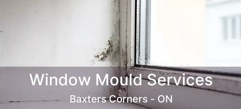  Window Mould Services Baxters Corners - ON