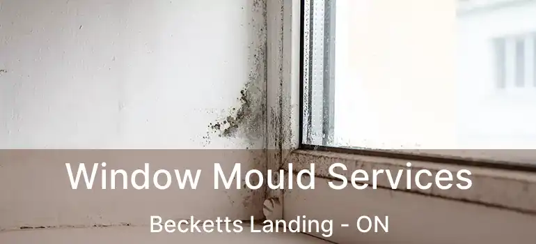  Window Mould Services Becketts Landing - ON