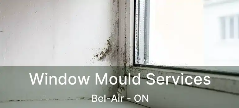  Window Mould Services Bel-Air - ON