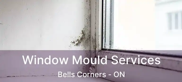  Window Mould Services Bells Corners - ON