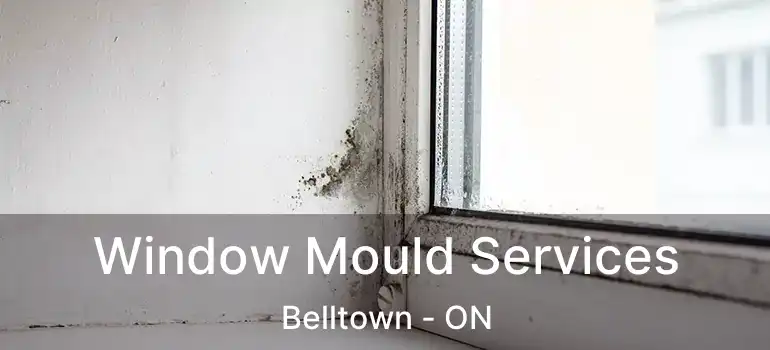  Window Mould Services Belltown - ON