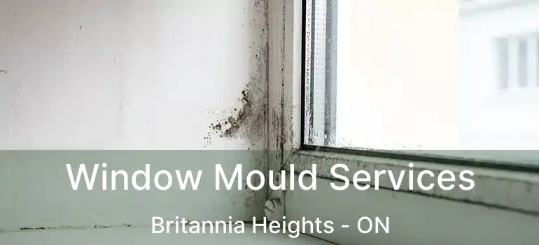  Window Mould Services Britannia Heights - ON