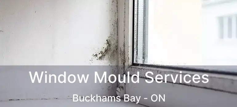  Window Mould Services Buckhams Bay - ON