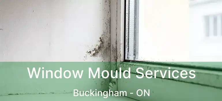  Window Mould Services Buckingham - ON