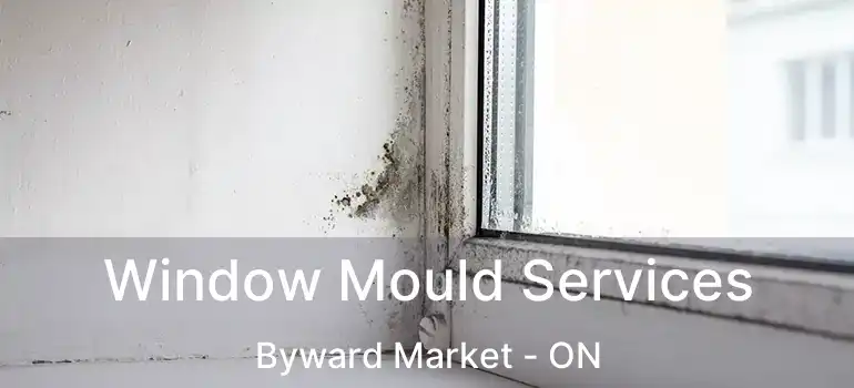  Window Mould Services Byward Market - ON