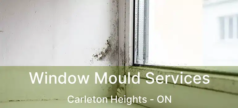  Window Mould Services Carleton Heights - ON