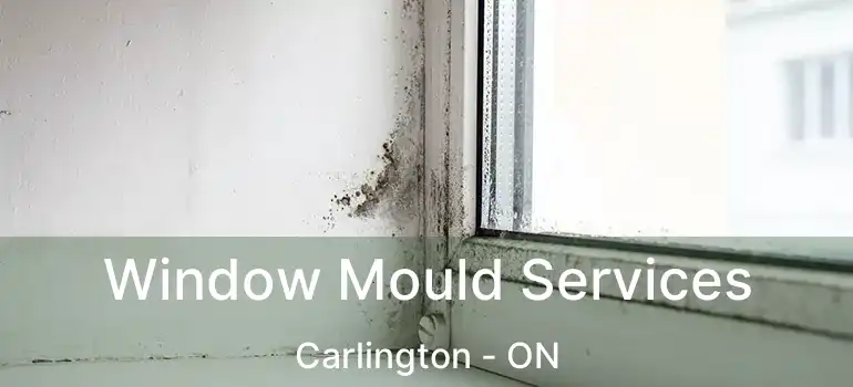  Window Mould Services Carlington - ON