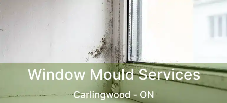  Window Mould Services Carlingwood - ON