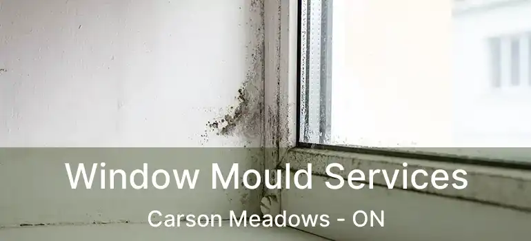  Window Mould Services Carson Meadows - ON