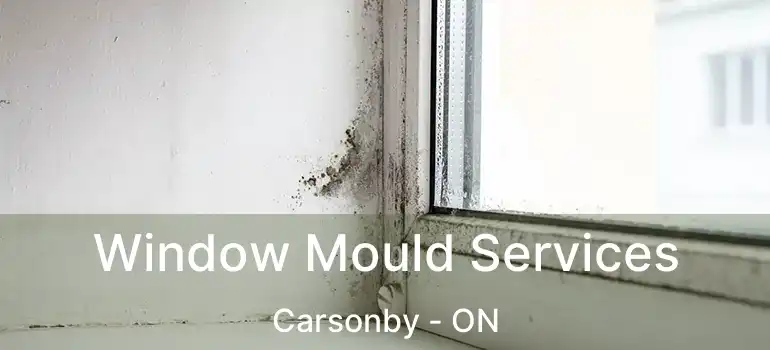  Window Mould Services Carsonby - ON