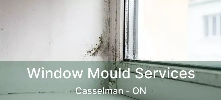  Window Mould Services Casselman - ON