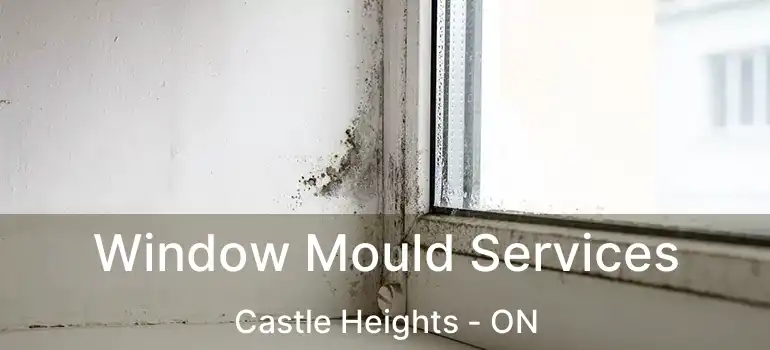  Window Mould Services Castle Heights - ON