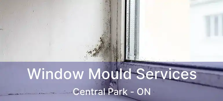  Window Mould Services Central Park - ON