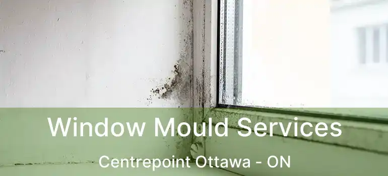  Window Mould Services Centrepoint Ottawa - ON