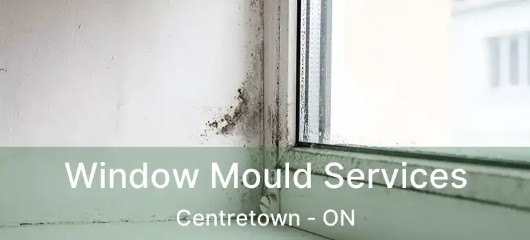  Window Mould Services Centretown - ON