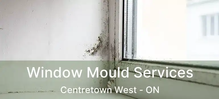  Window Mould Services Centretown West - ON