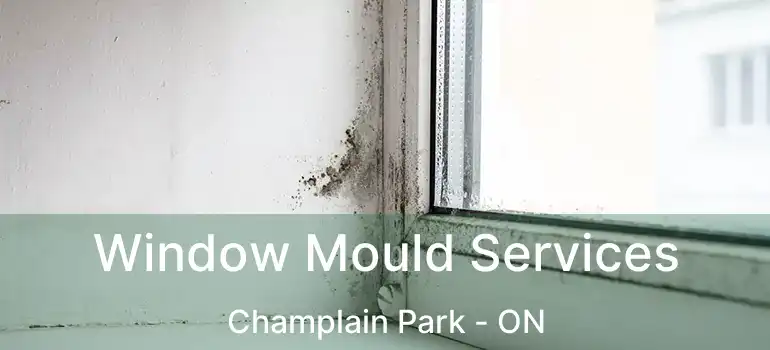  Window Mould Services Champlain Park - ON