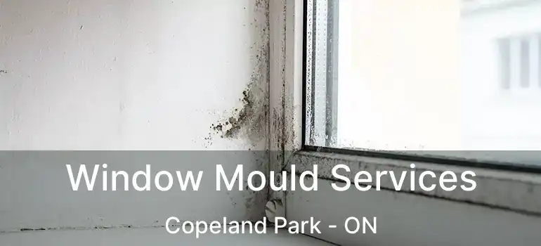  Window Mould Services Copeland Park - ON