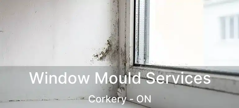  Window Mould Services Corkery - ON