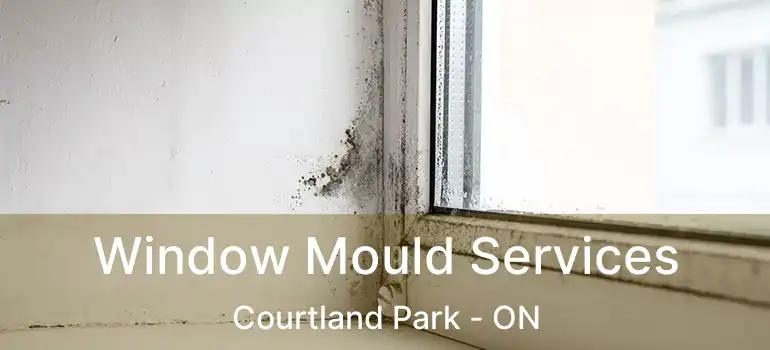  Window Mould Services Courtland Park - ON